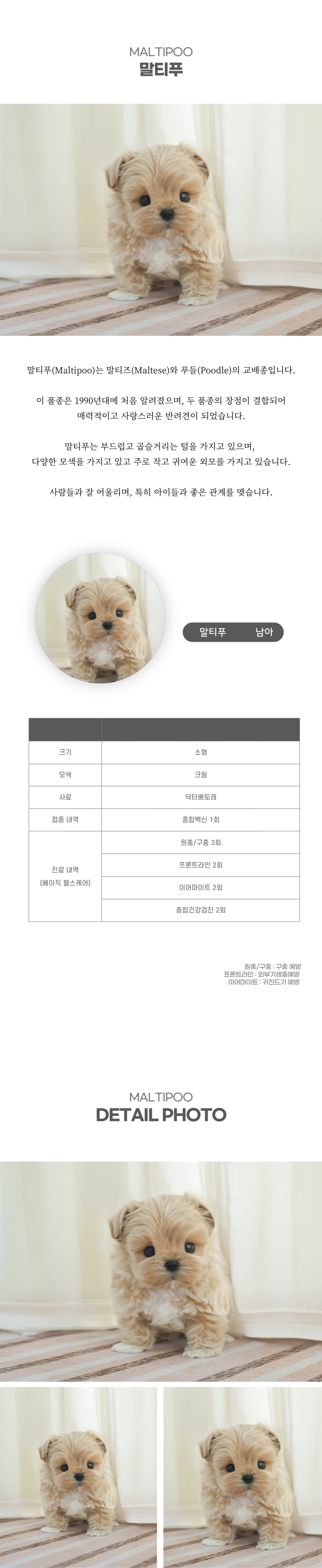 말티푸_상세이미지_2